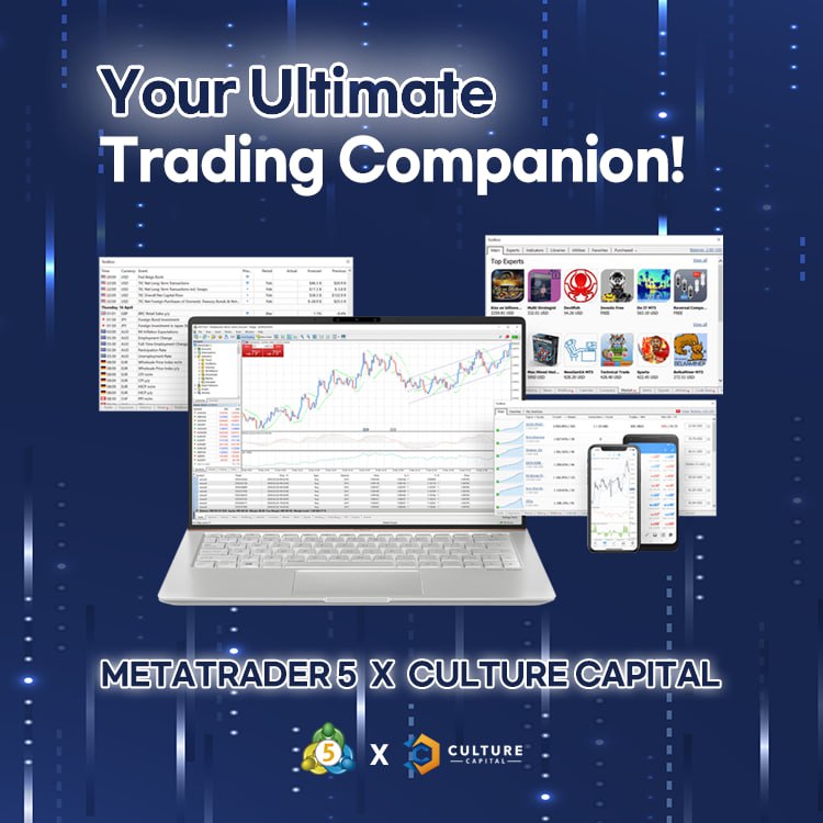 Your Ultimate Trading Companion - MetaTrader5 X Culture Capital