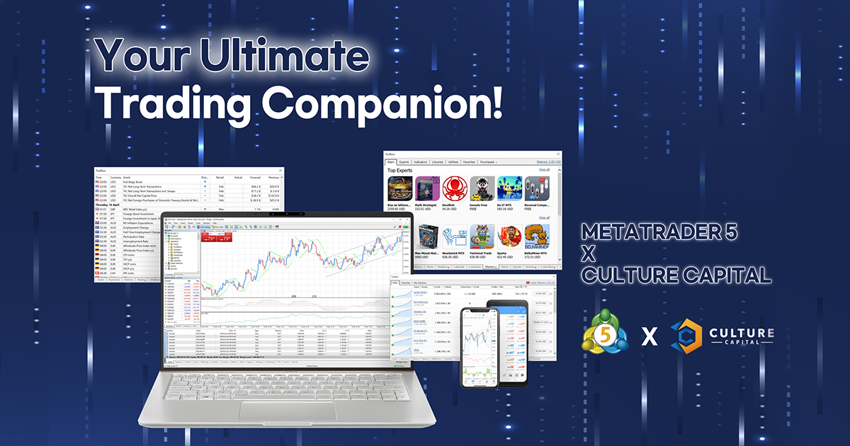 MetaTrader 5 플랫폼 정식 서비스 오픈